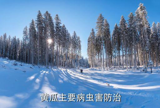 露地黃瓜用什么農(nóng)藥,黃瓜幼苗打什么農(nóng)藥