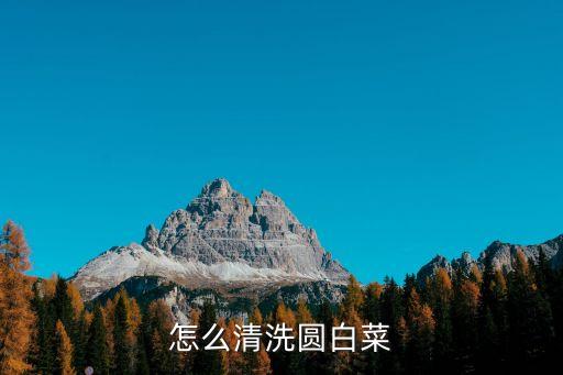 怎么清洗圓白菜