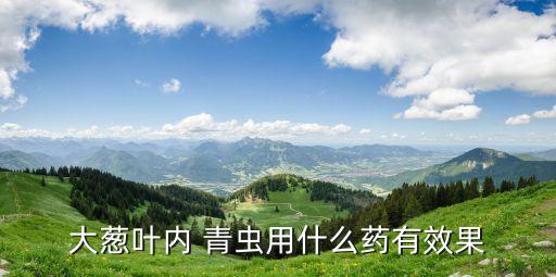 大蔥葉內 青蟲用什么藥有效果
