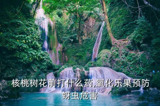 至核桃樹(shù)農(nóng)藥什么價(jià)錢(qián),核桃樹(shù)打什么農(nóng)藥最好