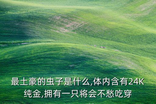 黃金龜甲蟲怕什么農藥,紅薯小象甲蟲最怕什么農藥