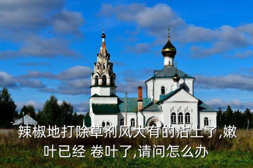  辣椒地打除草劑風大有的沾上了,嫩葉已經(jīng) 卷葉了,請問怎么辦