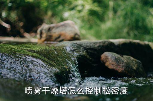 噴霧干燥塔怎么控制松密度