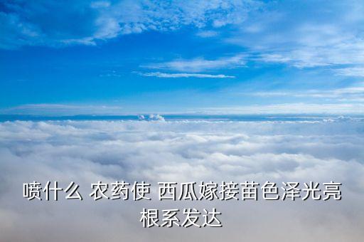 西瓜催芽用什么農(nóng)藥,種西瓜打什么農(nóng)藥最好