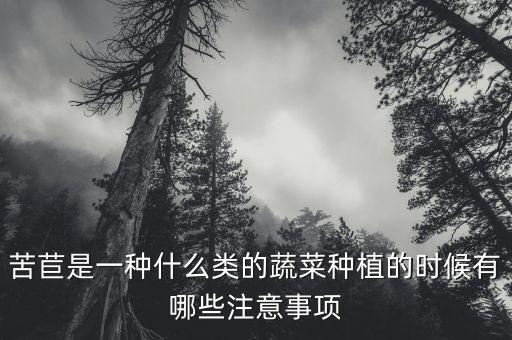 苦苣是一種什么類的蔬菜種植的時候有哪些注意事項