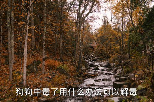 狗誤食農藥后喂什么