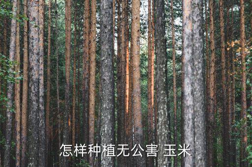 怎樣種植無公害 玉米