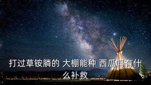 打過草銨膦的 大棚能種 西瓜嗎有什么補救