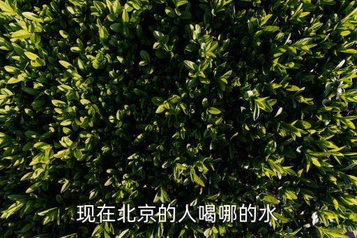 農藥廠在什么地方,辦農藥廠證需要什么手續
