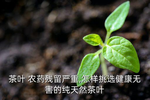 什么茶農藥含量高,農藥含量高好還是低好