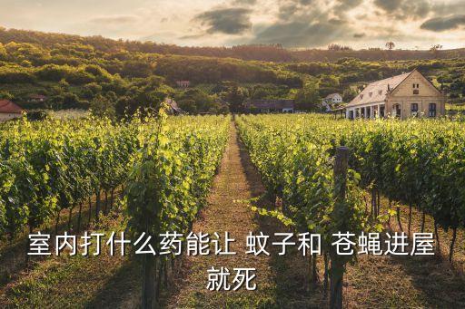 室內(nèi)打什么藥能讓 蚊子和 蒼蠅進(jìn)屋就死