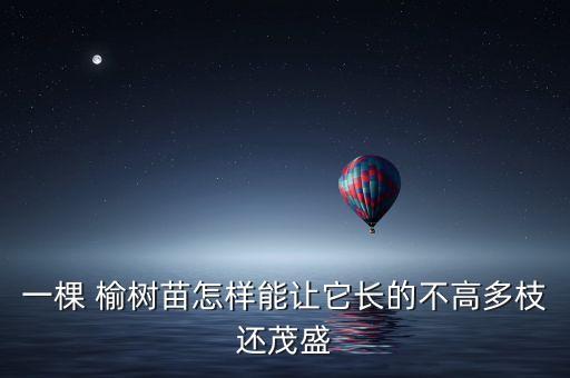 榆樹用什么農(nóng)藥好種植呀,榆樹適合什么季節(jié)種植