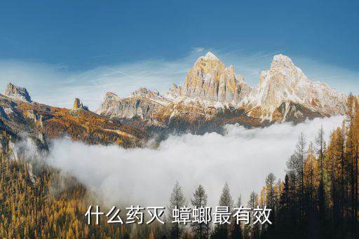 什么藥滅 蟑螂最有效