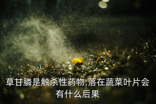 用什么農(nóng)藥殺死菜啰,什么農(nóng)藥能大量殺死蒼蠅