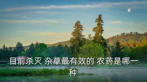 清理雜草的農藥是什么藥,夢見清理雜草是什么意思