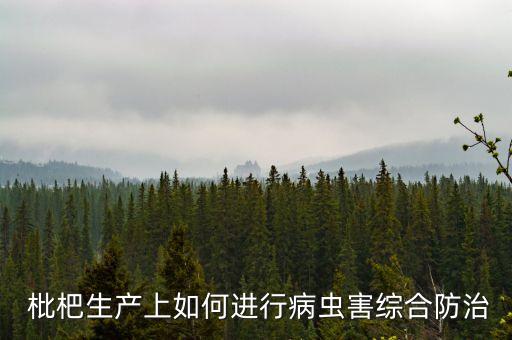 采摘枇杷用什么農藥,枇杷結果后打什么農藥