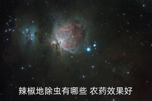 辣椒地除蟲有哪些 農(nóng)藥效果好