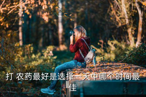 打農藥什么時間打好,打螞蟻用什么農藥