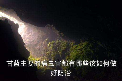種甘藍需要什么農藥,甘藍什么時間種最好