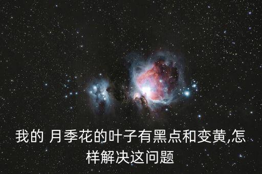 月季黑斑一般用什么農藥,月季長黑斑用什么藥