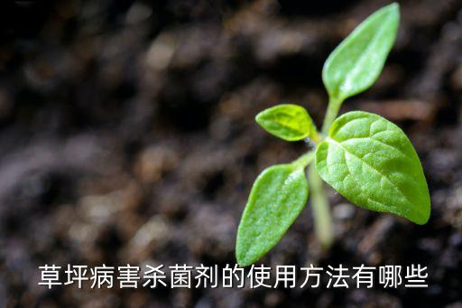 草皮草坪打什么農(nóng)藥,草皮和草坪有什么區(qū)別