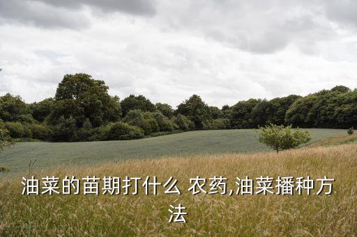 油菜的苗期打什么 農藥,油菜播種方法
