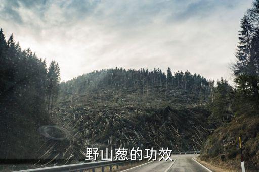 野蔥用什么農藥消毒好呢,用什么農藥給土壤消毒
