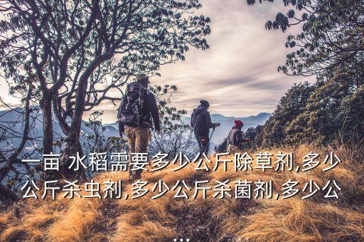 400斤水稻用什么農(nóng)藥,水稻一畝地要打多少斤農(nóng)藥