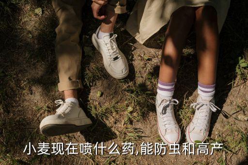 小麥現在噴什么藥,能防蟲和高產
