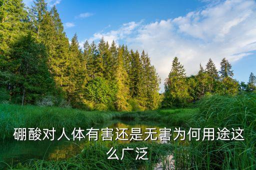 什么是硼酸肥料植物農藥,硼酸植物用有什么作用?