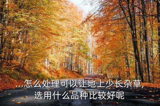 ...怎么處理可以讓地上少長雜草,選用什么品種比較好呢
