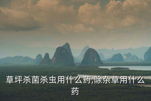 草坪殺菌殺蟲用什么藥,除雜草用什么藥