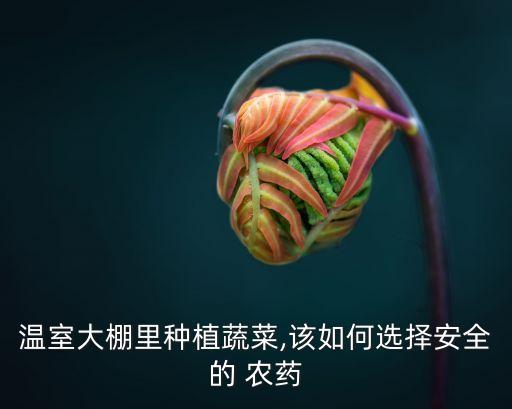 種的菜用什么農藥好呢,種什么菜不用打農藥
