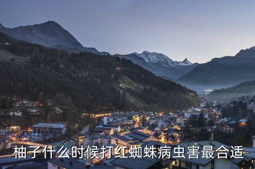  柚子什么時(shí)候打紅蜘蛛病蟲害最合適
