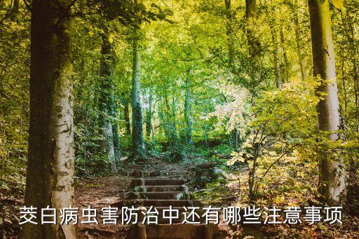 茭白黑心用什么農藥,除茭白用什么農藥