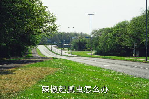  辣椒起膩蟲怎么辦
