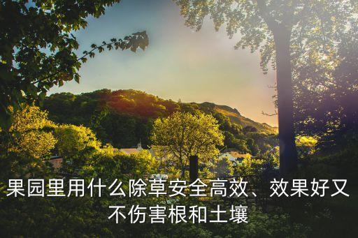果園里用什么除草安全高效、效果好又不傷害根和土壤
