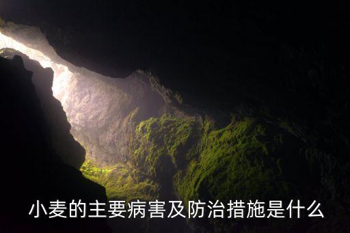  小麥的主要病害及防治措施是什么