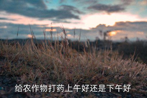 給農作物打藥上午好還是下午好