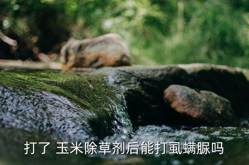 玉米白粉虱用什么農(nóng)藥,白粉虱打什么農(nóng)藥