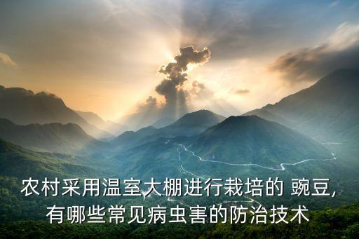 農(nóng)村采用溫室大棚進(jìn)行栽培的 豌豆,有哪些常見病蟲害的防治技術(shù)