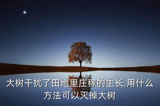 大樹干擾了田地里莊稼的生長,用什么方法可以滅掉大樹