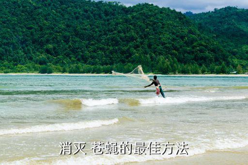 什么農藥對蒼蠅最有效,金蒼蠅用什么農藥來滅?