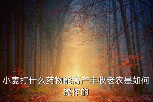 小麥打什么藥物能高產豐收老農是如何操作的