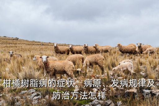 沙皮病用什么農(nóng)藥,治療沙皮病的特效農(nóng)藥