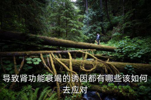 導(dǎo)致腎功能衰竭的誘因都有哪些該如何去應(yīng)對(duì)