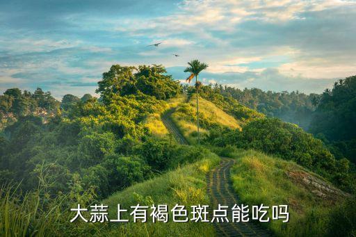 大蒜葉長(zhǎng)黃斑用什么農(nóng)藥,大蒜黃斑病用什么藥