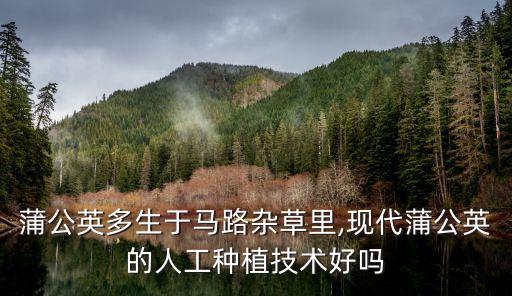 種婆婆丁用什么農(nóng)藥,婆婆丁不能和什么一起吃