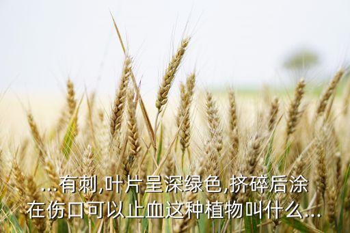 刺蓋草用什么農藥,什么農藥可以讓草寸草不生