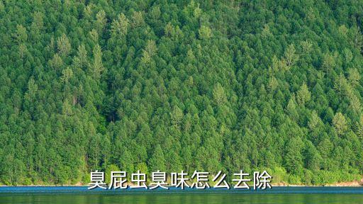臭屁蟲臭味怎么去除